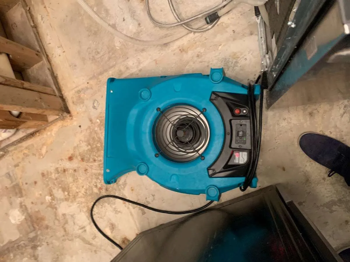 Air mover drying equipment for Mold Remediation & Removal in Plumstead