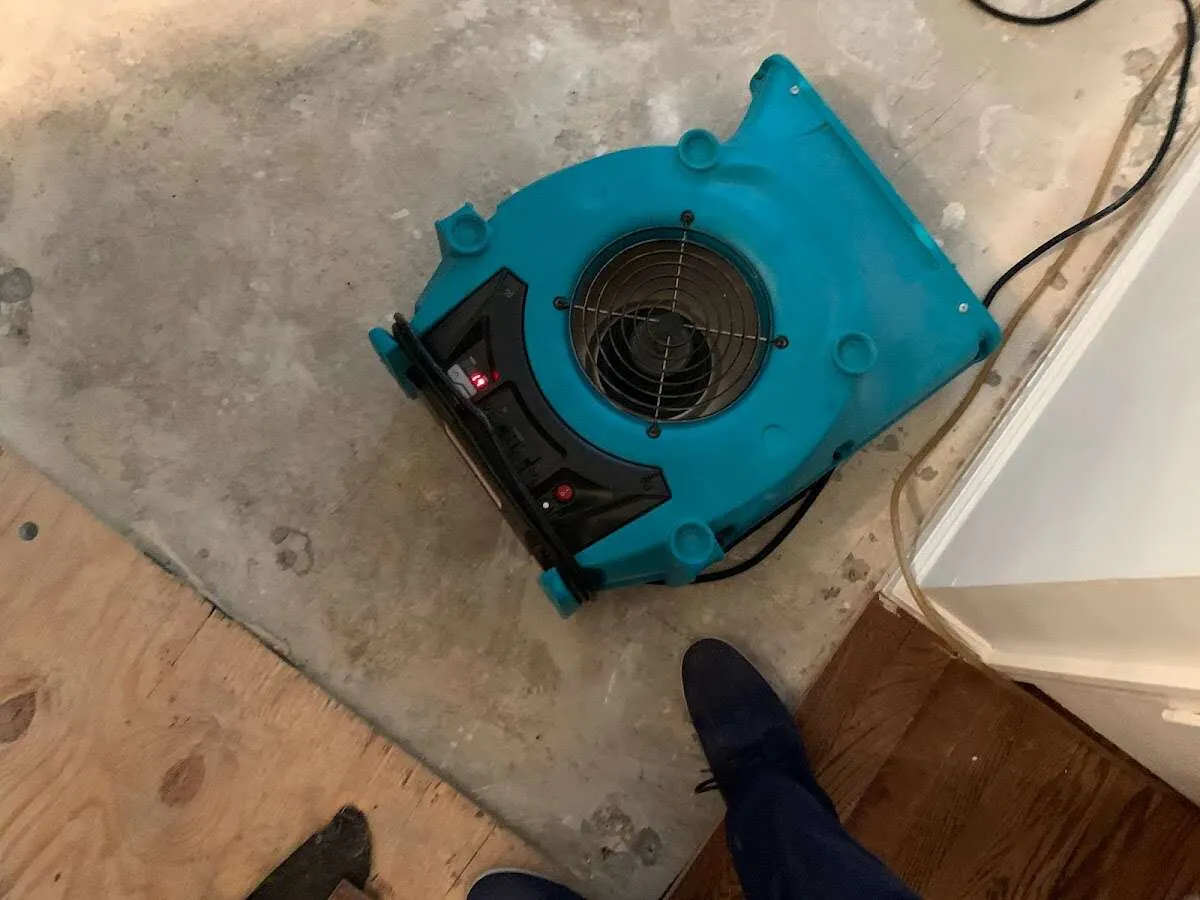 Air mover drying subfloor during Commercial Water Damage Restoration in Plumstead